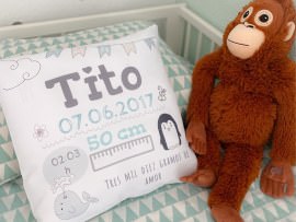 Cojín de nacimiento personalizado