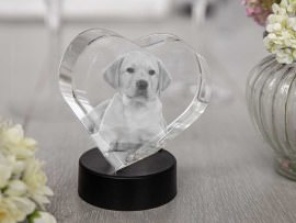 Corazón de cristal perro