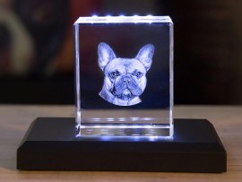 Foto en cristal 3D personalizada
